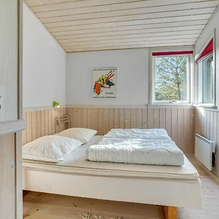Ferienhaus Blabaerstien Fjerritslev Iii *